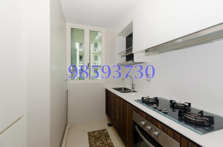 Vacanza @ East (D14), Condominium #165167252